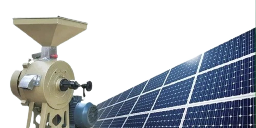 Untitled design (96)